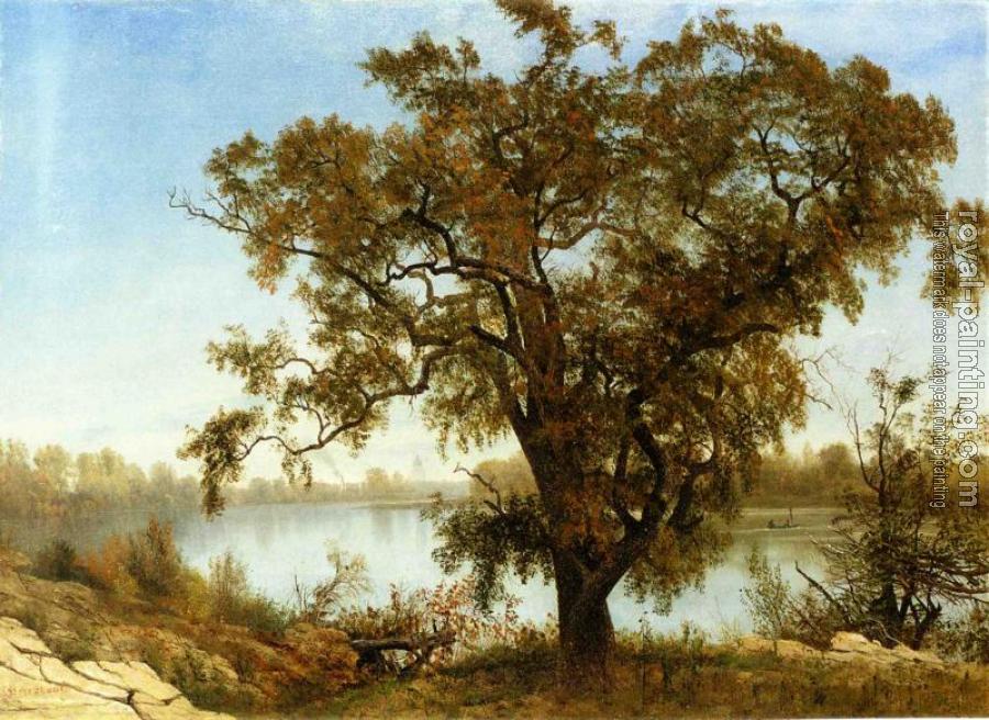 Albert Bierstadt : A View from Sacramento Albert Bierstadt : A View from Sacramento